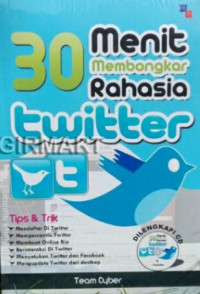 Image of 30 MENIT MEMBONGKAR RAHASIA TWITTER